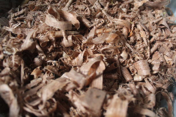istock wood shavings in the trash 1396591642