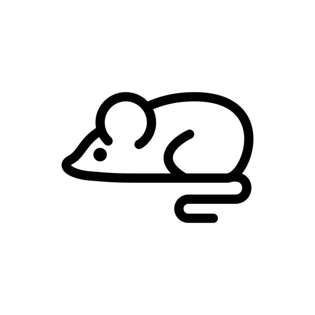 ilustraciones, imágenes clip art, dibujos animados e iconos de stock de icono de ratón rata - ratón animal