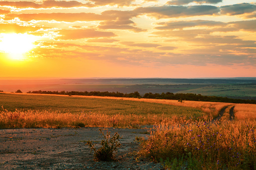 Dawn above the Tuscan hills and wheat-fields. Really vivid colors for the mood :) 