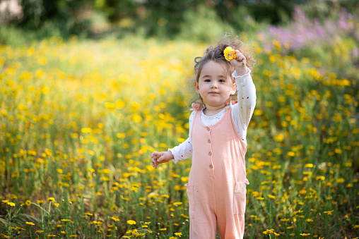 cute baby girl playing in the garden with yellow flowers. Yellow daisies and sweet beautiful baby girl blooming in spring. baby playing with blooming daisies, trying to learn nature. Curious baby girl learning nature