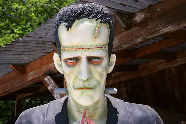 Maquillaje De Frankenstein - Banco de fotos e imágenes de stock - iStock