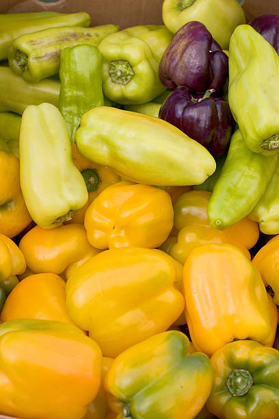 Yellow and Green Peppers stock photo