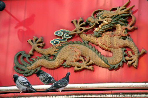 three pigeons are resting near a threatening Chinese dragon