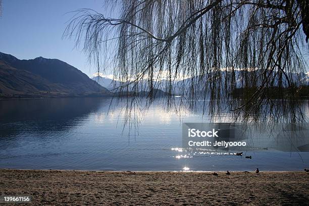 Lago Wanaka 1 - Fotografie stock e altre immagini di Acqua - Acqua, Albero, Ambientazione esterna