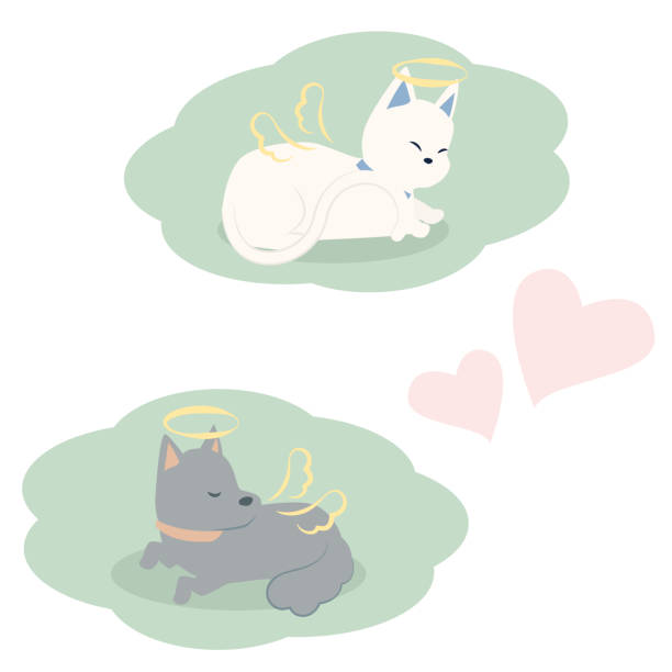 Dogs and cats with gentle expressions heading to heaven It is an illustration of a dog and a cat with a gentle expression heading to heaven. japanese angel stock illustrations