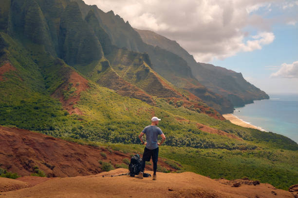 istock Man overlooking the Hawaiian Na Pali mountains 1396611761