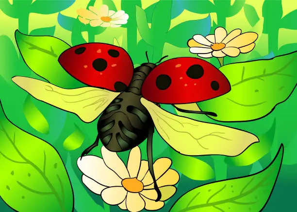 Vector illustration of Flying Ladybug Vector Illustration, On The Flowers, Spring Time