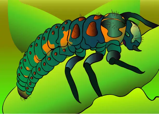 Vector illustration of Ladybug Larva On The Leaf