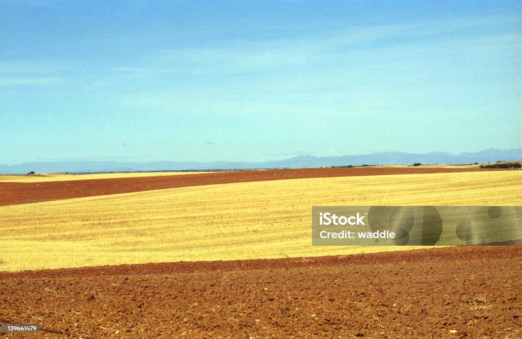 La Mancha colheita campos - Royalty-free Aberto Foto de stock