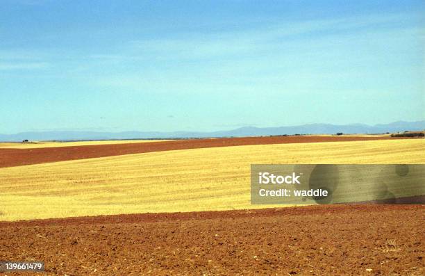 La Mancha Colheita Campos - Fotografias de stock e mais imagens de Aberto - Aberto, Agricultura, Amarelo