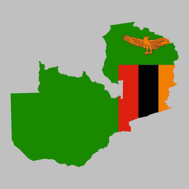 Zambia flag inside map borders Zambia flag inside national map borders vector illustration zambia flag stock illustrations