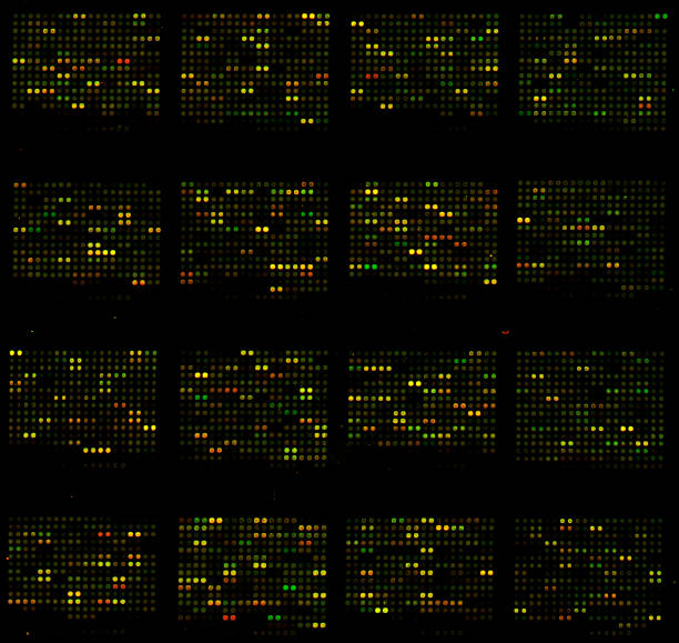 Microarray Chart 150+ Microarray Fotografías de stock, fotos e imágenes libres de ...