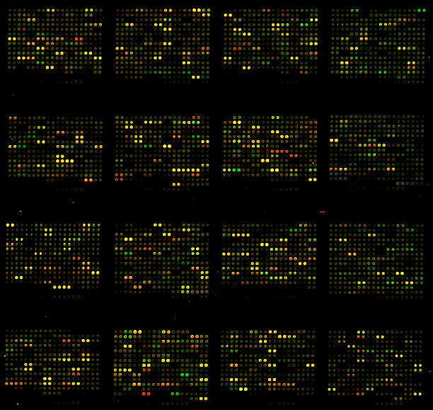 microarray rosso/verde - microarray foto e immagini stock