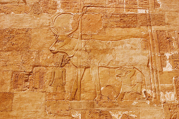 Cow_of_Hathor A relief depicting the Goddess Hathor as a cow in Hatshepsut's Temple, Luxor (Thebes) temple of hatshepsut photos stock pictures, royalty-free photos & images