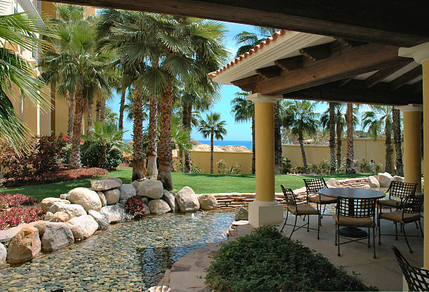 istock Peaceful garden in Cabo San Lucas, Mexico 139661742