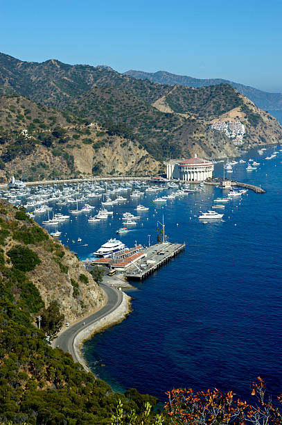 istock Overlooking Catalina Island 139661855