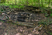 istock Empty picnic spot in a forest in Europe. Extinguished fire place with charred wood, sitting spaces made of logs, wide angle shot, no people 1396619608