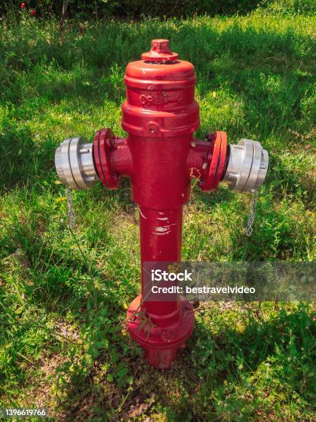 Red Metal Water Fire Hydrant Against Green Vegetation Stock Photo - Download Image Now