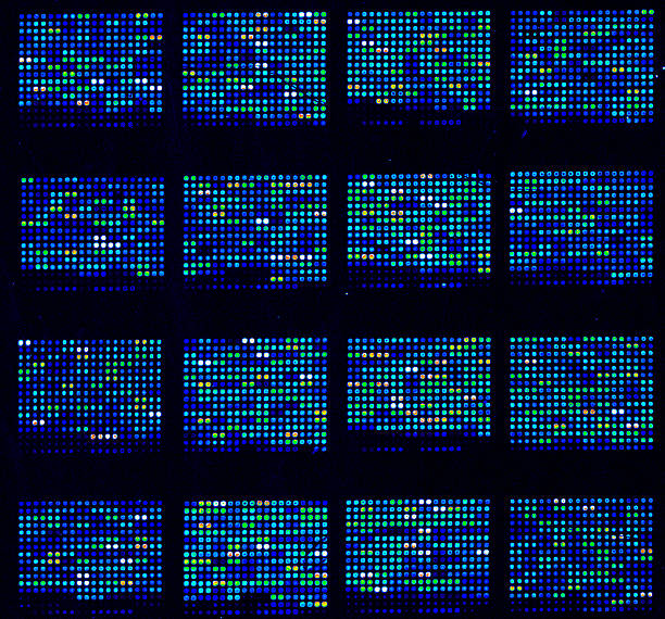microarrays del dna - microarray foto e immagini stock