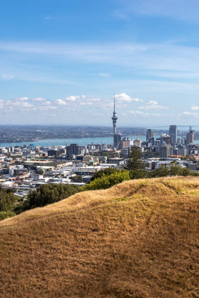 istock Cityscape at Auckland 1396623061