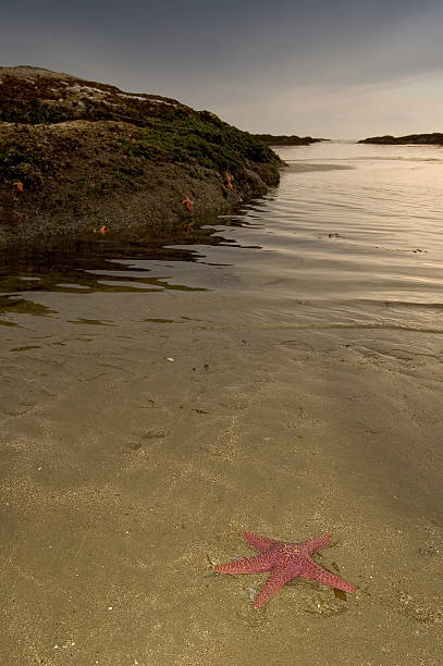 ocean front stock photo