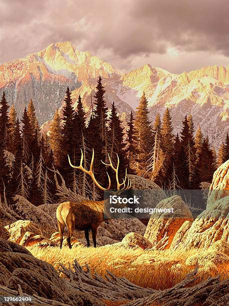 Elk In The Rockies Stock Photo - Download Image Now - Landscape - Scenery, Forest, Mountain