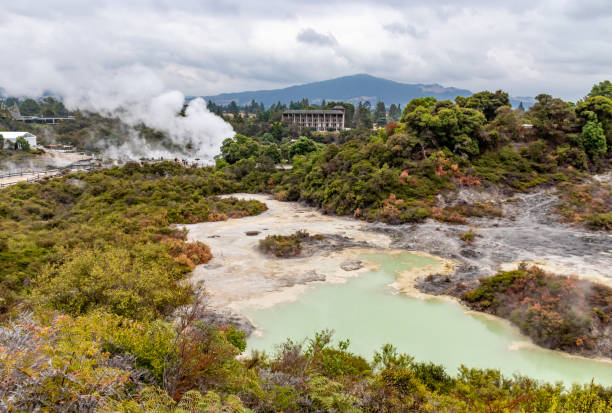 istock Whakarewarewa geyser near Rotorua 1396624366