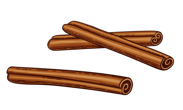 ilustrações de stock, clip art, desenhos animados e ícones de cinnamon stick vector drawing. isolated on a white background. sketch of the bark of a cassia plant. three brown sticks. cinnamon spice and flavor. hand drawn vector illustration in flat cartoon style. - canella