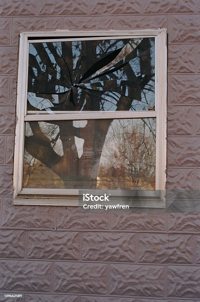 broken tree - Lizenzfrei Baum Stock-Foto
