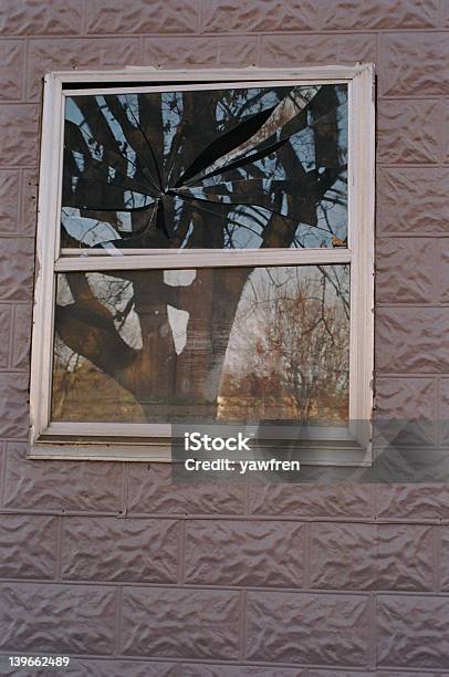 Broken Tree Stockfoto und mehr Bilder von Baum - Baum, Fenster, Fotografie