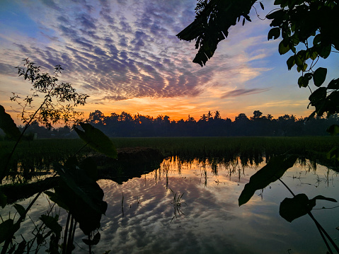 A vibrant sunrise in the beautiful natural surroundings of Orlando Wetlands Park in central Florida.  The park is a large marsh area which is home to numerous birds, mammals, and reptiles.