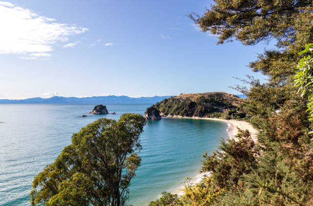 istock Bay at Abel Tasman national park 1396627648