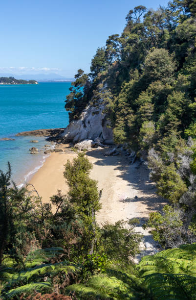 istock Secret beach at Abel Tasman national park 1396629183