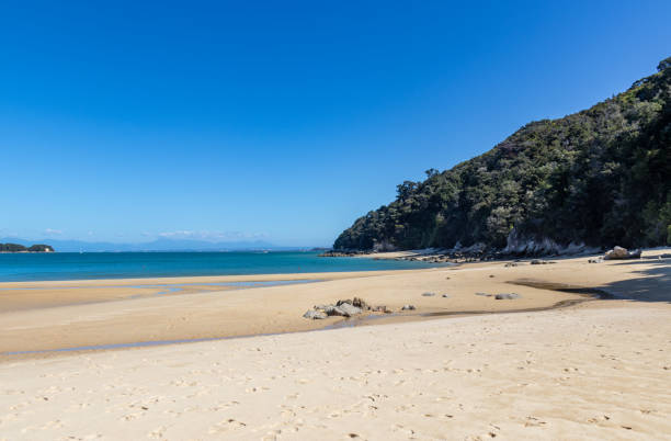 istock Beach at Abel Tasman national park 1396629733