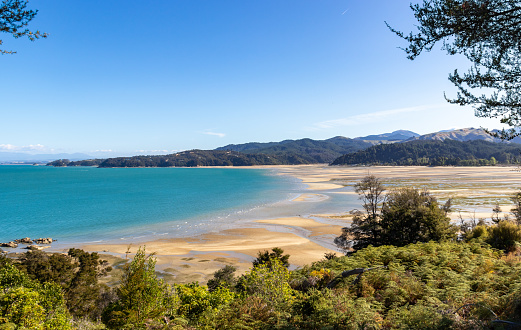 Scenic view of estuary, forest and pathway, North Island