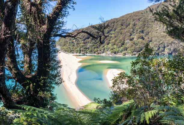 ビーチ、アベルタスマン国立公園の空撮 - abel tasman national park ストックフォトと画像