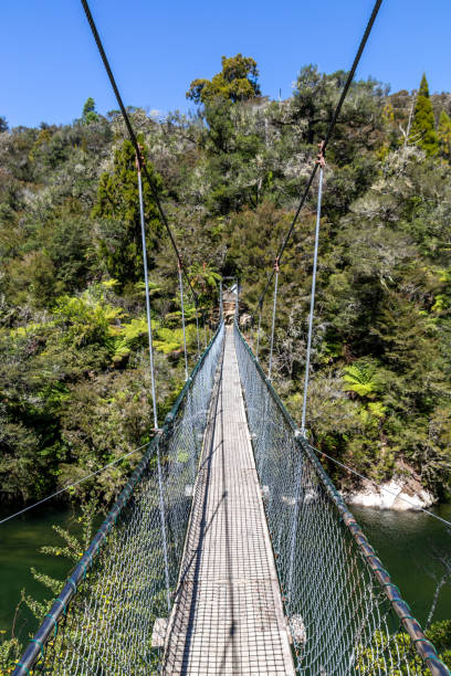 istock Bridge at Abel Tasman national park 1396630073
