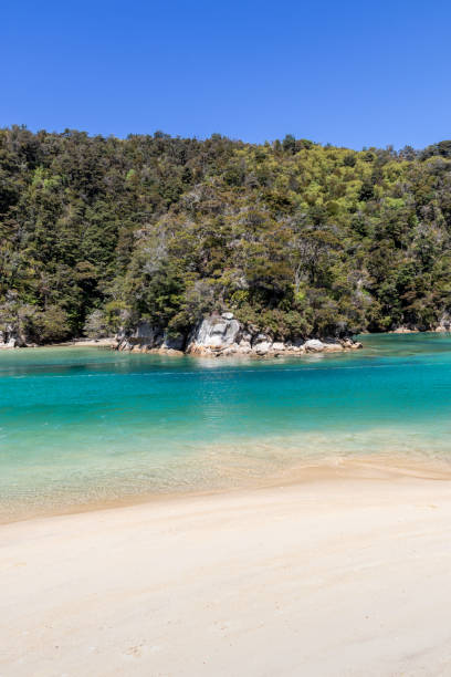 istock Paradise beach at Abel Tasman national park 1396630200