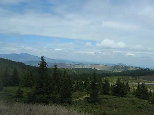 Landscape of mountain Kopaonik