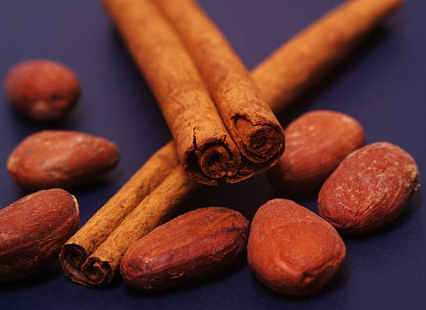 istock Cacao seeds and cinnamon stick 139663431