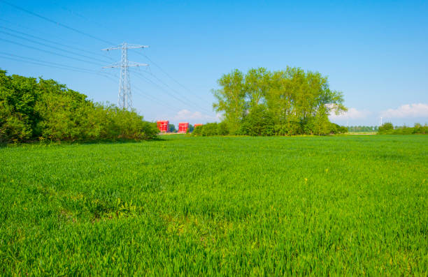 Electric power transmission lines in a blue sky in bright sunlight in springtime, Almere, Flevoland, The Netherlands, May 7, 2022
