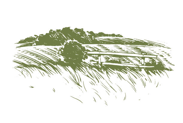 This is a digital drawing of a farm land fence