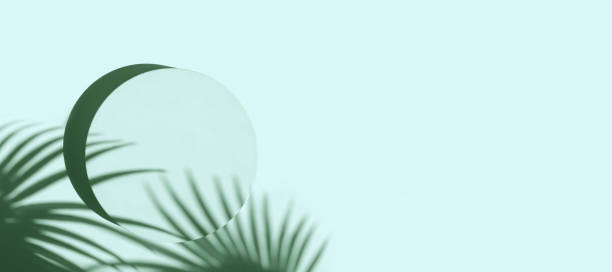 istock Podium for cosmetic product presentation. Abstract minimal geometrical Cylinder. Stone sphere one form, palm leaf shadow. Scene to show. Showcase, display case. Trendy sunlight. Flat lay, Top View. 3D 1396640017