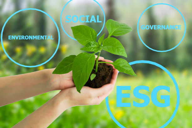 istock ESG modernization environmental social governance conservation and CSR policy. Living green sprout in the hands in hands on the background of nature. Ecology and nature protection concept. 1396640065