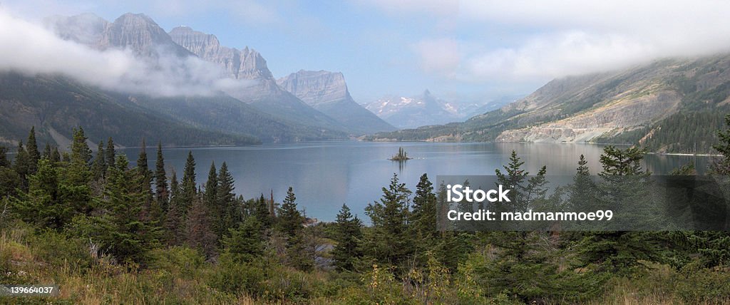 Parc National de Glacier - Photo de Arbre libre de droits