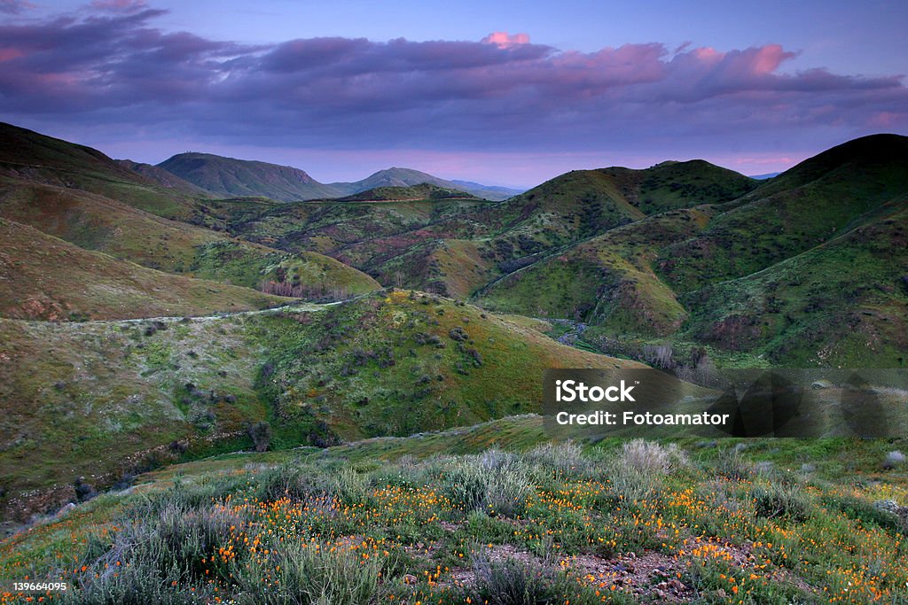 Colorful hills Vivid colors of the hills illuminated by the sunset in southern California. Agricultural Field Stock Photo