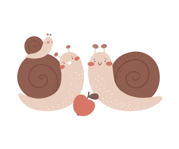 ilustrações, clipart, desenhos animados e ícones de família feliz de caracóis. ilustração infantil vetorial no estilo boho cartoon. imprima as roupas. - snail animal humor family