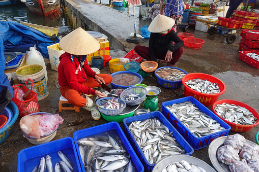 Hoi An, Vietnam - Mar 08, 2020: Two vendors are preparing their fish market stalls before the rush hour at Duy Hai fishing village.