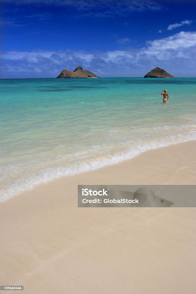 Traumhochzeit am Strand in Oahu, Hawaii - Lizenzfrei Baum Stock-Foto