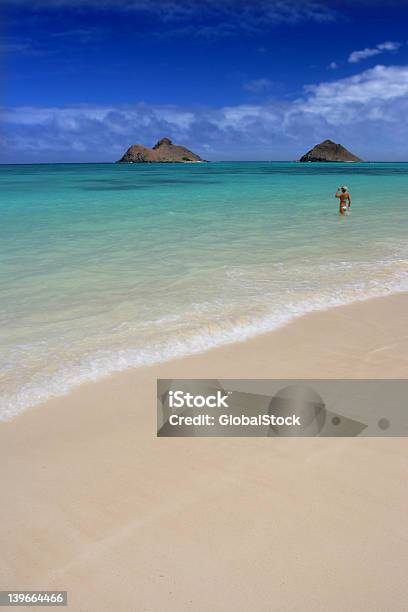 Traumhochzeit Am Strand In Oahu Hawaii Stockfoto und mehr Bilder von Baum - Baum, Blau, Entspannung